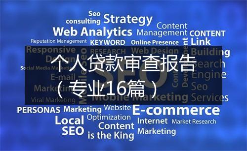 个人贷款审查报告（专业16篇）