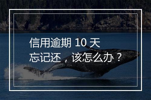 信用逾期 10 天忘记还，该怎么办？