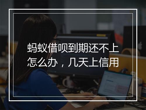 蚂蚁借呗到期还不上怎么办，几天上信用