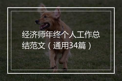 经济师年终个人工作总结范文（通用34篇）