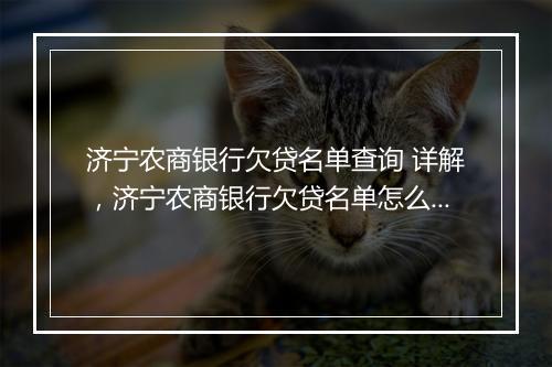 济宁农商银行欠贷名单查询 详解，济宁农商银行欠贷名单怎么查