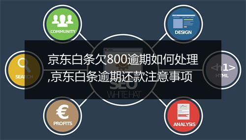 京东白条欠800逾期如何处理,京东白条逾期还款注意事项
