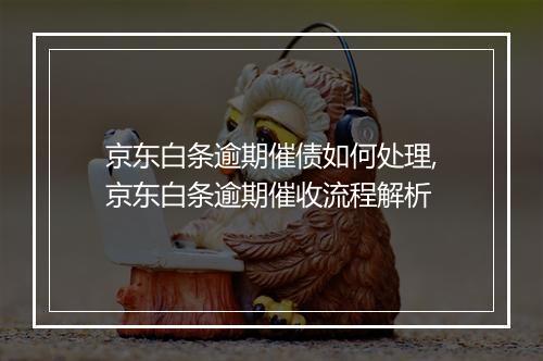 京东白条逾期催债如何处理,京东白条逾期催收流程解析