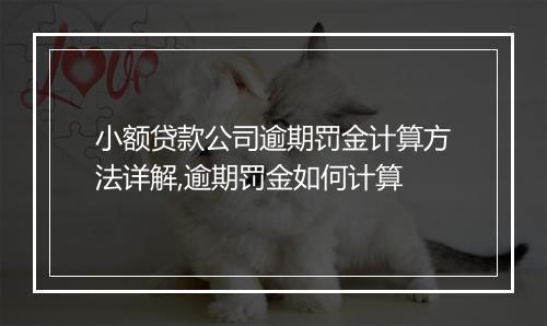 小额贷款公司逾期罚金计算方法详解,逾期罚金如何计算