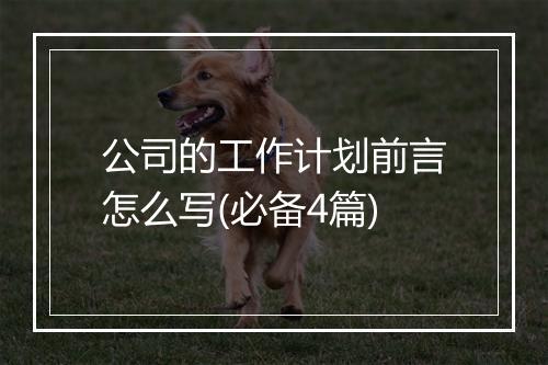 公司的工作计划前言怎么写(必备4篇)