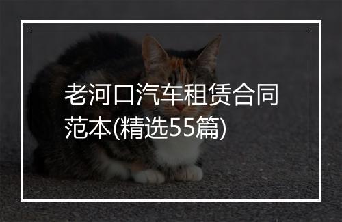 老河口汽车租赁合同范本(精选55篇)