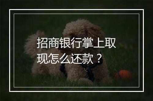 招商银行掌上取现怎么还款？