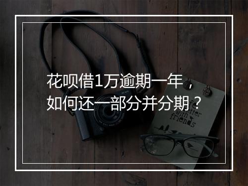 花呗借1万逾期一年，如何还一部分并分期？
