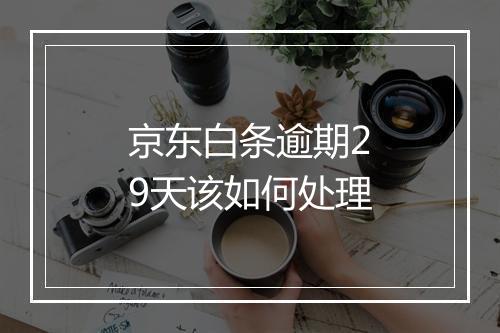 京东白条逾期29天该如何处理