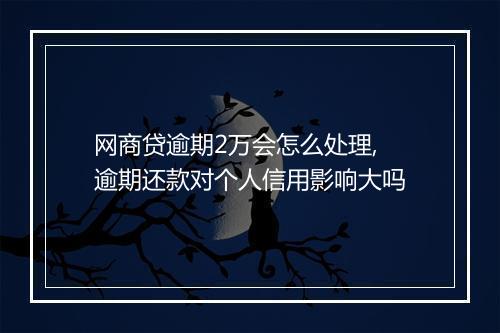 网商贷逾期2万会怎么处理,逾期还款对个人信用影响大吗