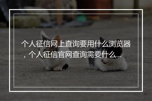 个人征信网上查询要用什么浏览器，个人征信官网查询需要什么浏览器