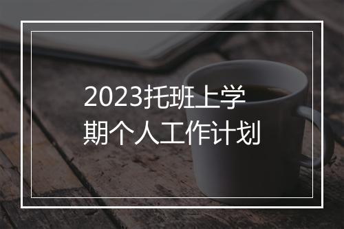 2023托班上学期个人工作计划