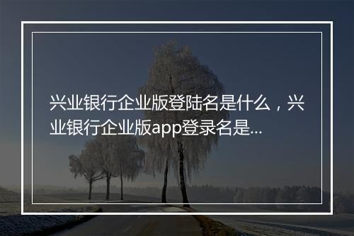 兴业银行企业版登陆名是什么，兴业银行企业版app登录名是什么