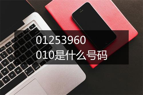 01253960010是什么号码