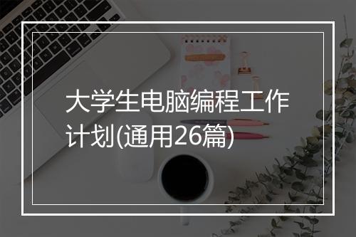 大学生电脑编程工作计划(通用26篇)