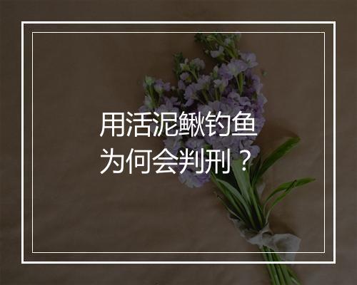 用活泥鳅钓鱼为何会判刑？