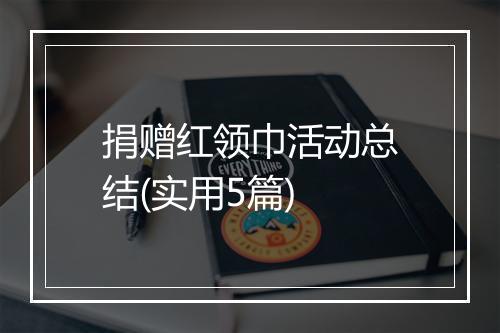 捐赠红领巾活动总结(实用5篇)