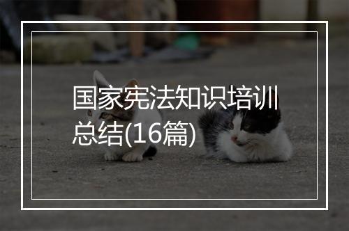国家宪法知识培训总结(16篇)