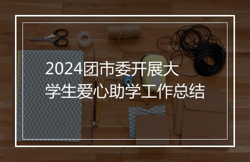 2024团市委开展大学生爱心助学工作总结