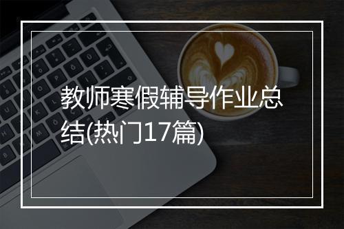 教师寒假辅导作业总结(热门17篇)