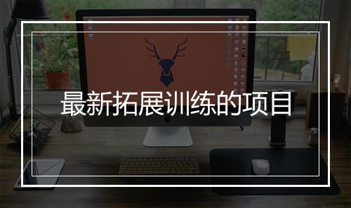 最新拓展训练的项目
