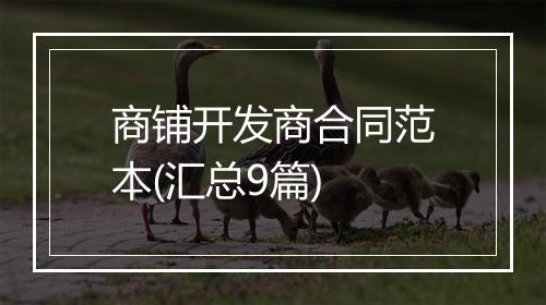 商铺开发商合同范本(汇总9篇)