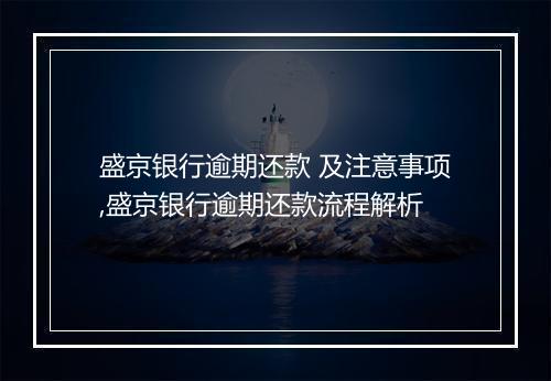 盛京银行逾期还款 及注意事项,盛京银行逾期还款流程解析
