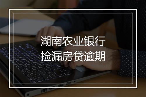 湖南农业银行捡漏房贷逾期