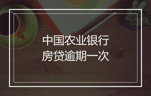 中国农业银行房贷逾期一次