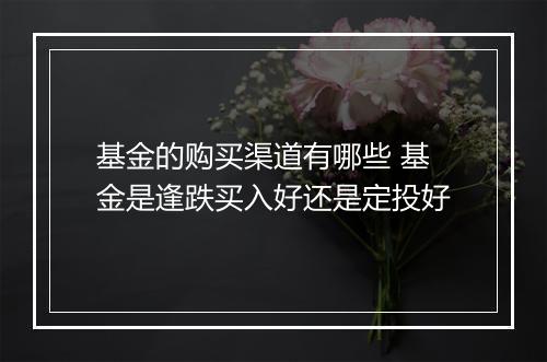 基金的购买渠道有哪些 基金是逢跌买入好还是定投好