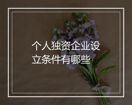 个人独资企业设立条件有哪些