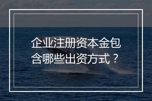 企业注册资本金包含哪些出资方式？