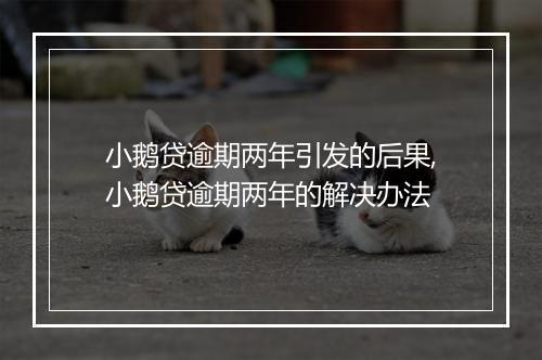 小鹅贷逾期两年引发的后果,小鹅贷逾期两年的解决办法