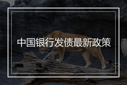 中国银行发债最新政策