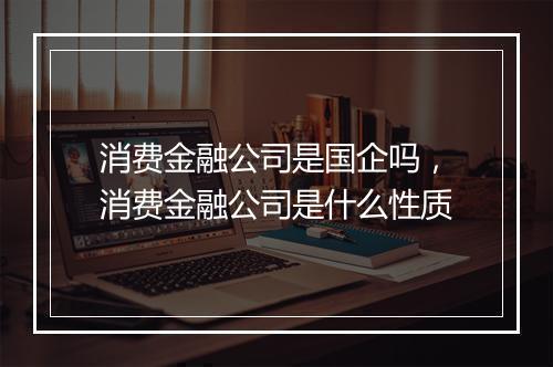 消费金融公司是国企吗，消费金融公司是什么性质