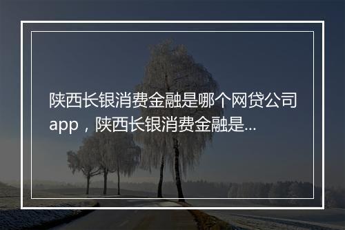 陕西长银消费金融是哪个网贷公司app，陕西长银消费金融是哪个网贷公司客服电话