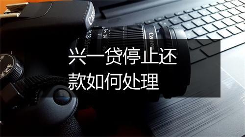 兴一贷停止还款如何处理