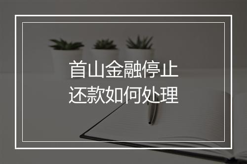 首山金融停止还款如何处理