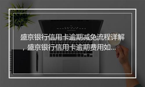 盛京银行信用卡逾期减免流程详解，盛京银行信用卡逾期费用如何减免