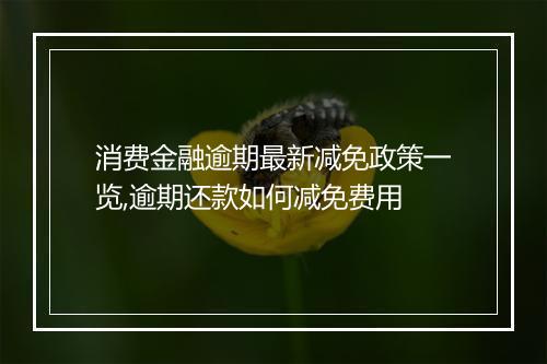 消费金融逾期最新减免政策一览,逾期还款如何减免费用