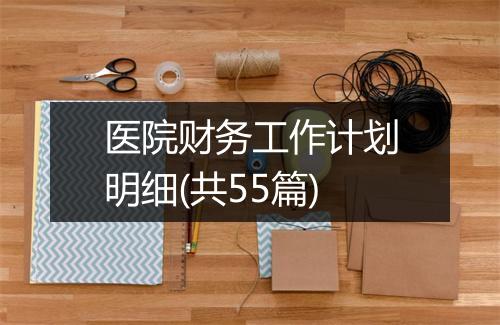 医院财务工作计划明细(共55篇)