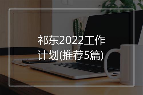 祁东2022工作计划(推荐5篇)