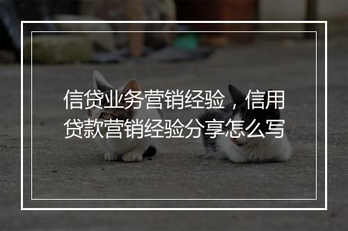 信贷业务营销经验，信用贷款营销经验分享怎么写
