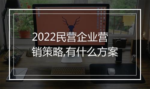 2022民营企业营销策略,有什么方案