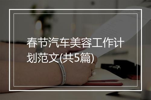 春节汽车美容工作计划范文(共5篇)