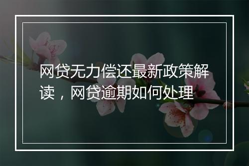 网贷无力偿还最新政策解读，网贷逾期如何处理