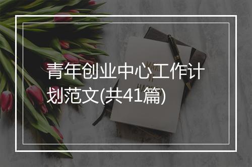 青年创业中心工作计划范文(共41篇)