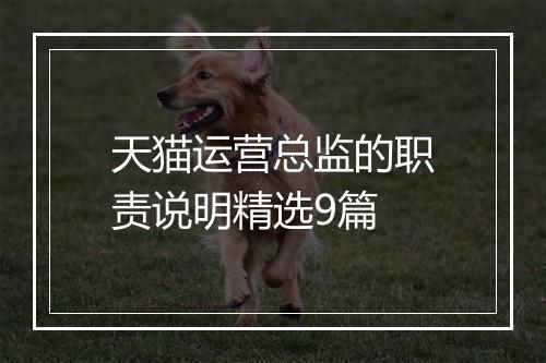 天猫运营总监的职责说明精选9篇