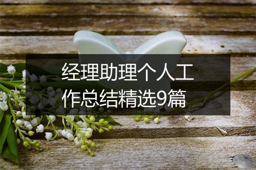 经理助理个人工作总结精选9篇