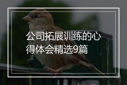 公司拓展训练的心得体会精选9篇